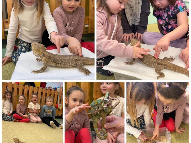 ZVÍŘECÍ NÁVŠTĚVA V MŠ